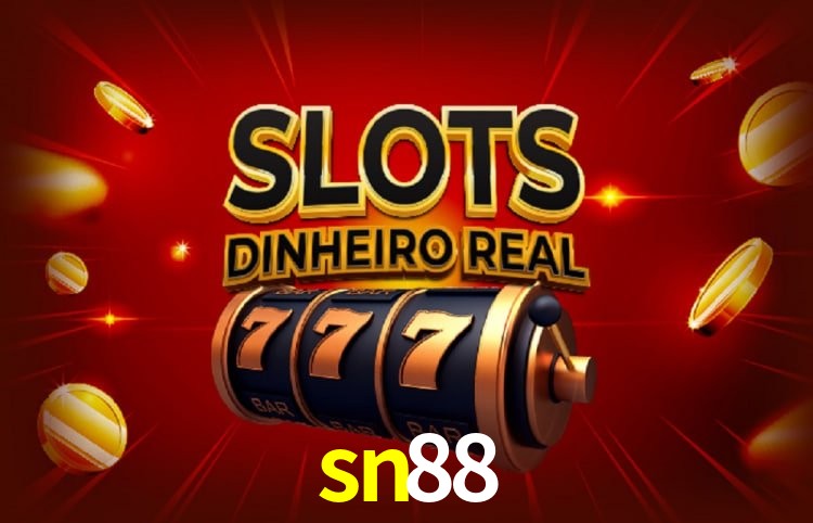 Sistemas de Segurança sn88