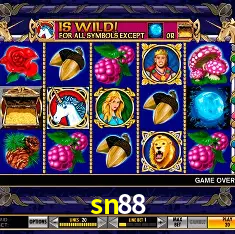 sn88 Rio de Janeiro - Bonus Terms